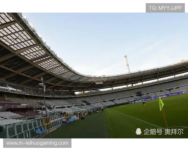 意甲俱乐部场馆升级计划进展缓慢，基础设施更新面临挑战